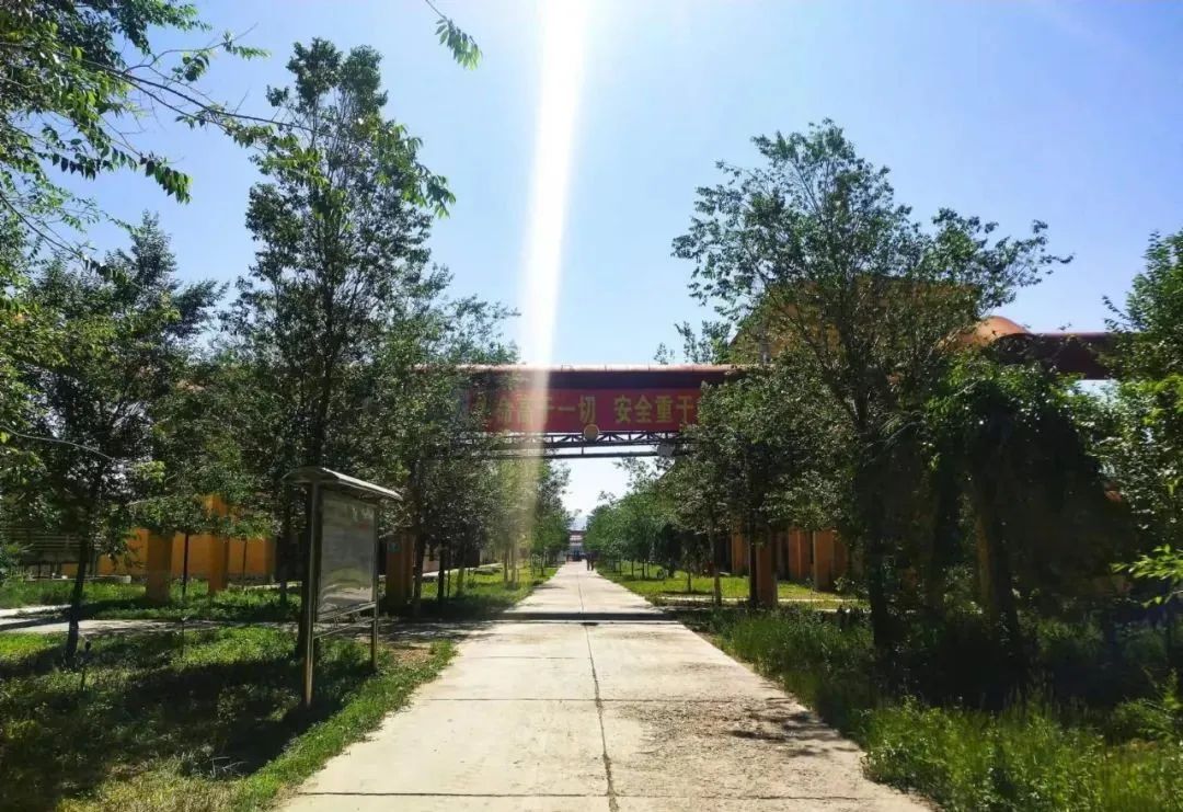 宝石花·有声 | 十年，我爱上了你——恒盛